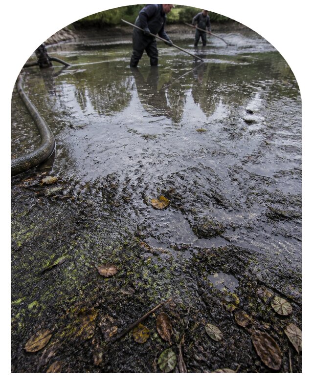 Очистка пруда в Заинске от ила мусора и водорослей с вывозом